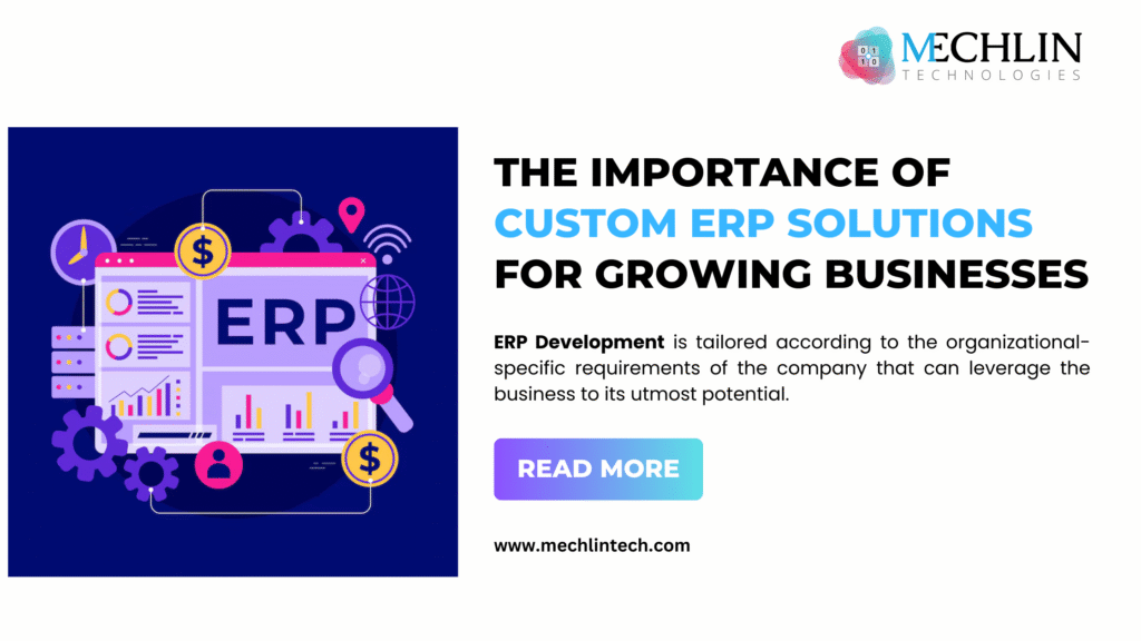 The Importance Of Custom ERP Solutions For Growing Businesses