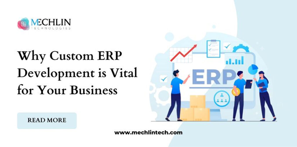 Why Custom ERP Development Is Vital For Your Business